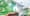 REdimension Capital Closes Fund I 